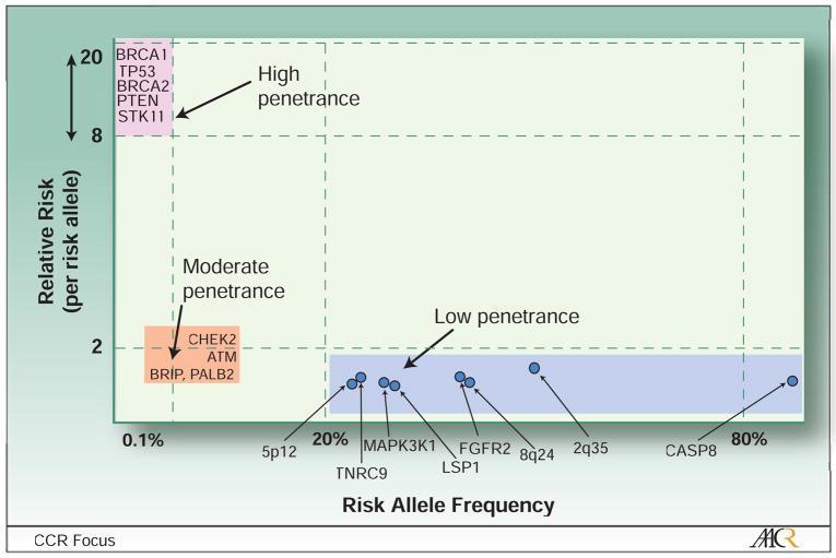 Geny o wysokiej penetracji versus