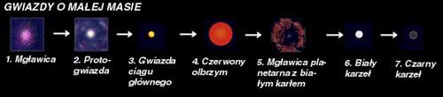 CZERWONEGO OLBRZYMA lub NADOLBRZYMA; przekształcenie się czerwonego olbrzyma (nadolbrzyma) w GWIAZDĘ ZMIENNĄ; przekształcenie się gwiazdy zmiennej (której masa jest zbliżona do masy Słońca) w BIAŁEGO