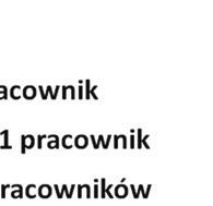 Zbadano dwa magazyny: z 4 alejkami i z 10 alejkami, w których trasa kompletacyjna wyznaczana jest wg heurystyki s-shape lub return.