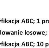 Analizie poddano zamówienia typowe dla firmy internetowej składające się zazwyczaj z niewielkiej liczby pozycji. Przyjęto, że liczba towarów na jednym zamówieniu jest stała i wynosi 3.