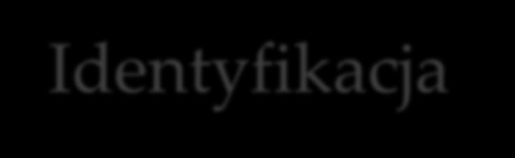 Identyfikacja - procedura Pobranie próbek Filtracja Ekstrakcja (dichlorometan) Odparowanie ekstraktu (do 300 l) Dozownik Objętość nastrzyku