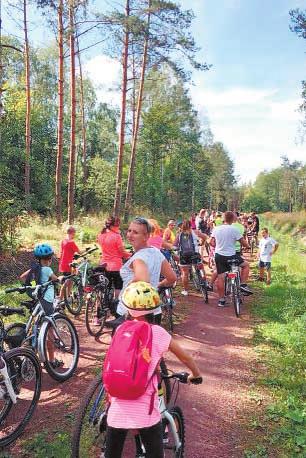 Spośród wszystkich nadesłanych na adres promocja@starostwo.rybnik.