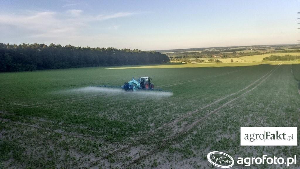 .pl https://www..pl Na plantacjach soi najczęściej pojawia się chwastnica jednostronna i komosa. (fot. AgroFoto.pl, użytkownik: michu20) 10.