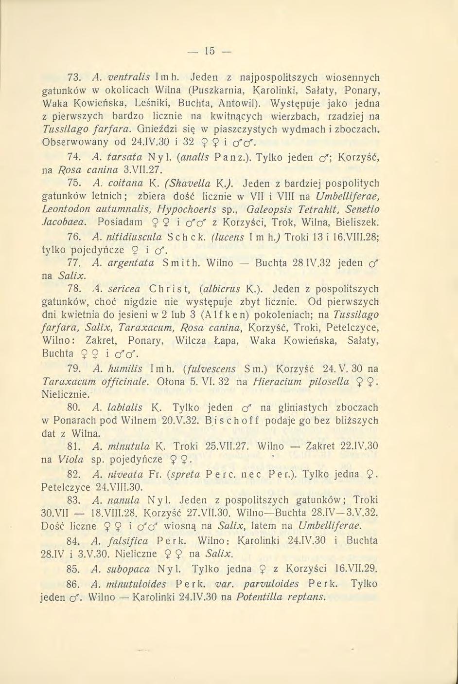 73. A. ventralis I m h. Jeden z najpospolitszych wiosennych gatunków w okolicach Wilna (Puszkarnia, Karolinki, Sałaty, Ponary, Waka Kowieńska, Leśniki, Buchta, Antowil).