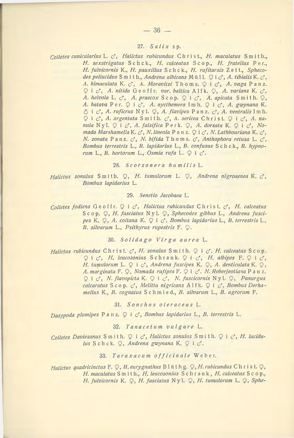27. Sal ix s p. Colletes cunicularius L. cf, Halictus rubicundus Christ., H. maculatus Smith., H. sexstrigatus Schck., H. calceatus Scop., H. fratellus P e r., H. fulvicornis K., H. pauxillus Schck.