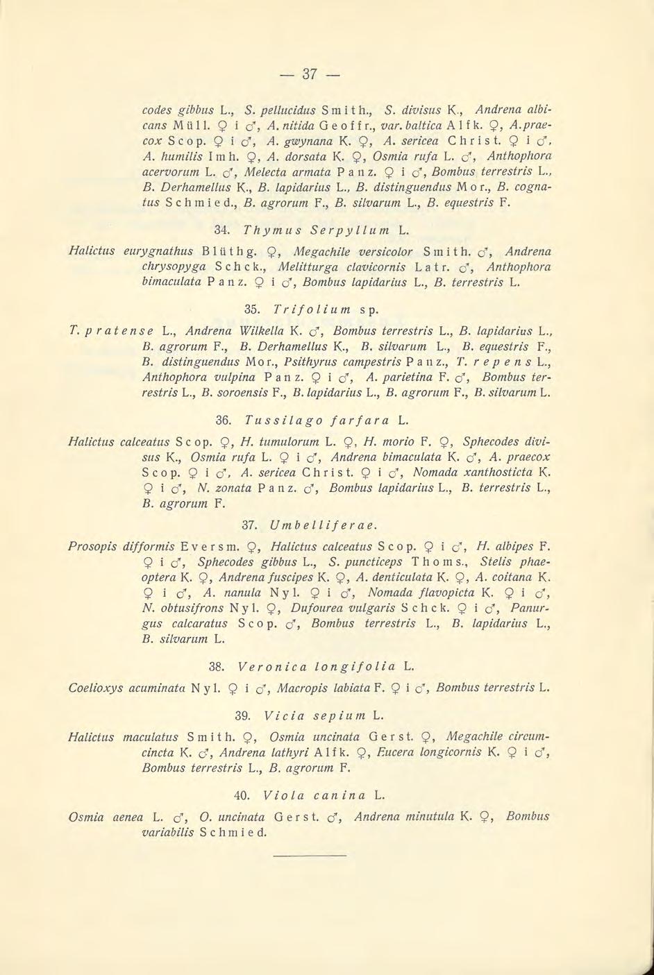 cod.es gibbus L., S. pellucidus Smith., 5. divisus K., Andrena albicans Muli. Q i cf, A. nitida G e o f f r., var. baltica A 1 f k. 9, A.praecox S c o p. Q i cf, A. gwynana K. Q, A. sericea Christ.