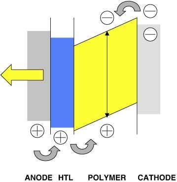 W1. Organiczne diody elektroluminescencyjne Organic Light