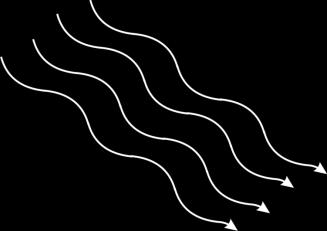 W1.