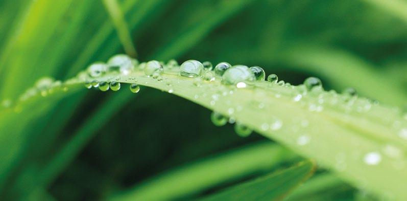 AQUA PLUS niezbędny do oprysków zmniejsza twardość wody