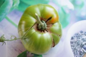 Objawy niedoboru boru na owocach pomidora Źródło: http://balkonowywarzywnik.pl/news/niedobory-u-pomidorow/ 10.