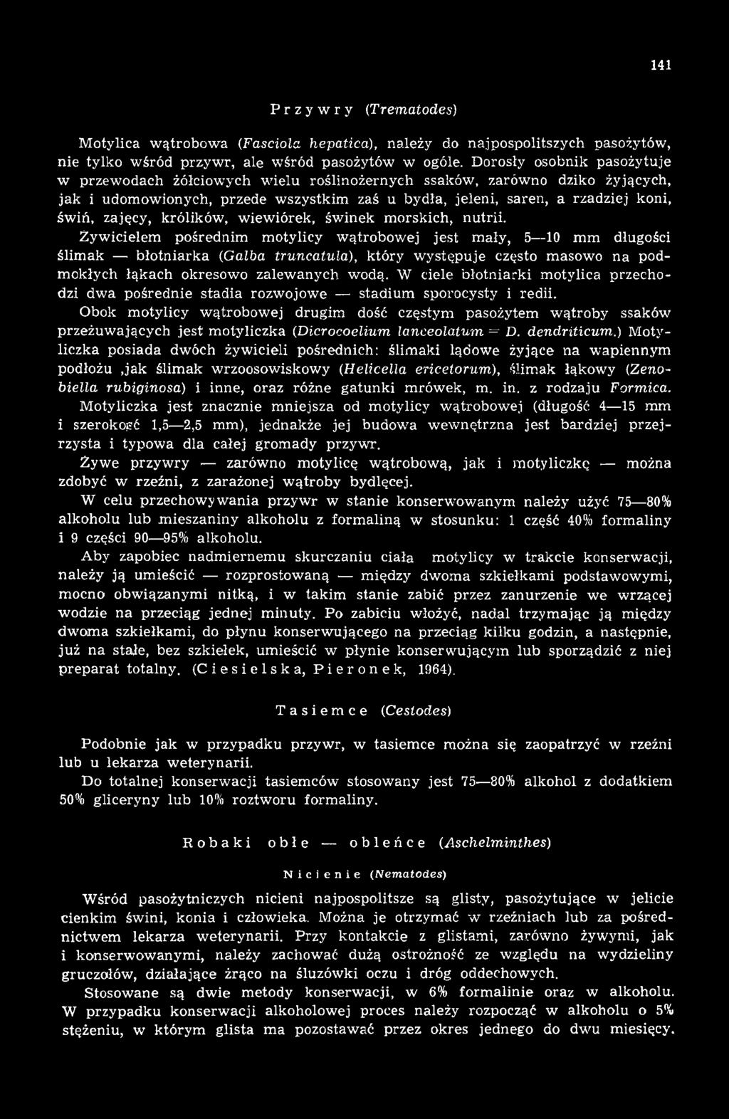 W ciele błotniarki motylica przechodzi dwa pośrednie stadia rozwojowe stadium sporocysty i redii.