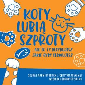 Wyróżniająca się komunikacja