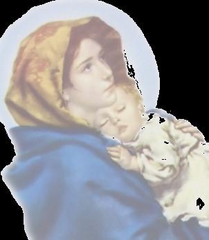 C.W.C. Meeting Monday, June 4th. Doors open at 11:30 am. We will pray the Rosary at 12:30 pm in the spirit of faith and union with the Blessed Virgin Mary; followed by our meeting and refreshments.