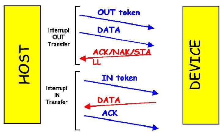 USB transfer