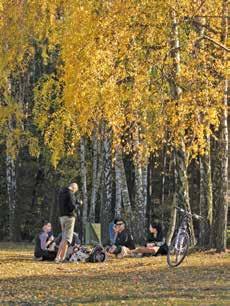 16 PARK KRAJOBRAZOWY WZNIESIEŃ ŁÓDZKICH Stare Skoszewy (KKr) Dwór w Byszewach leży w dolinie rzeki Moszczenicy, w otoczeniu starych, niekiedy również pomnikowych drzew.