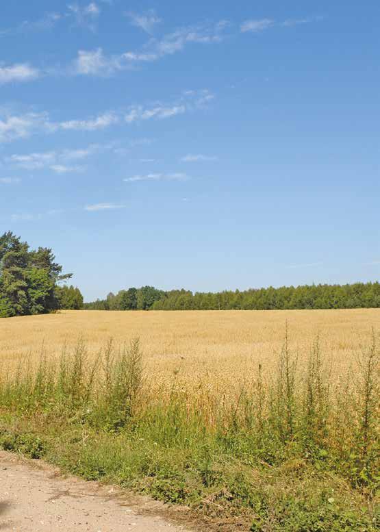 ZESPÓŁ PARKÓW KRAJOBRAZOWYCH