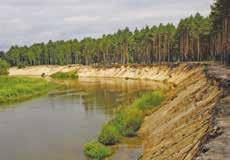 geologiczną i tektoniką podłoża, jak też z działalnością procesów czwartorzędowych. Występują tu obok siebie formy rzeźby o charakterze typowym dla niżu, jak też elementy rzeźby wyżynnej.