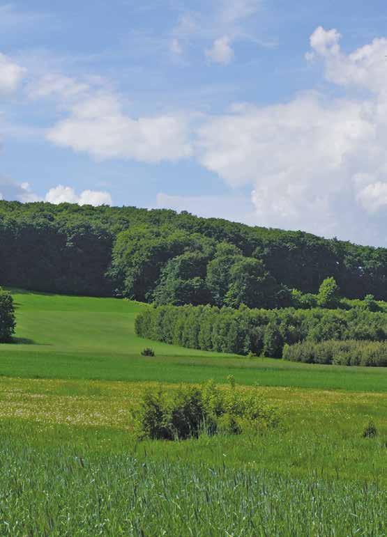 ZESPÓŁ PARKÓW KRAJOBRAZOWYCH
