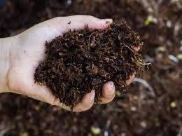 przez bakterie planktonowe sapropel luźna zawiesina szczątków organicznych i mineralnych przy dnie Dekompozycja na lądzie Z aktywnym udziałem