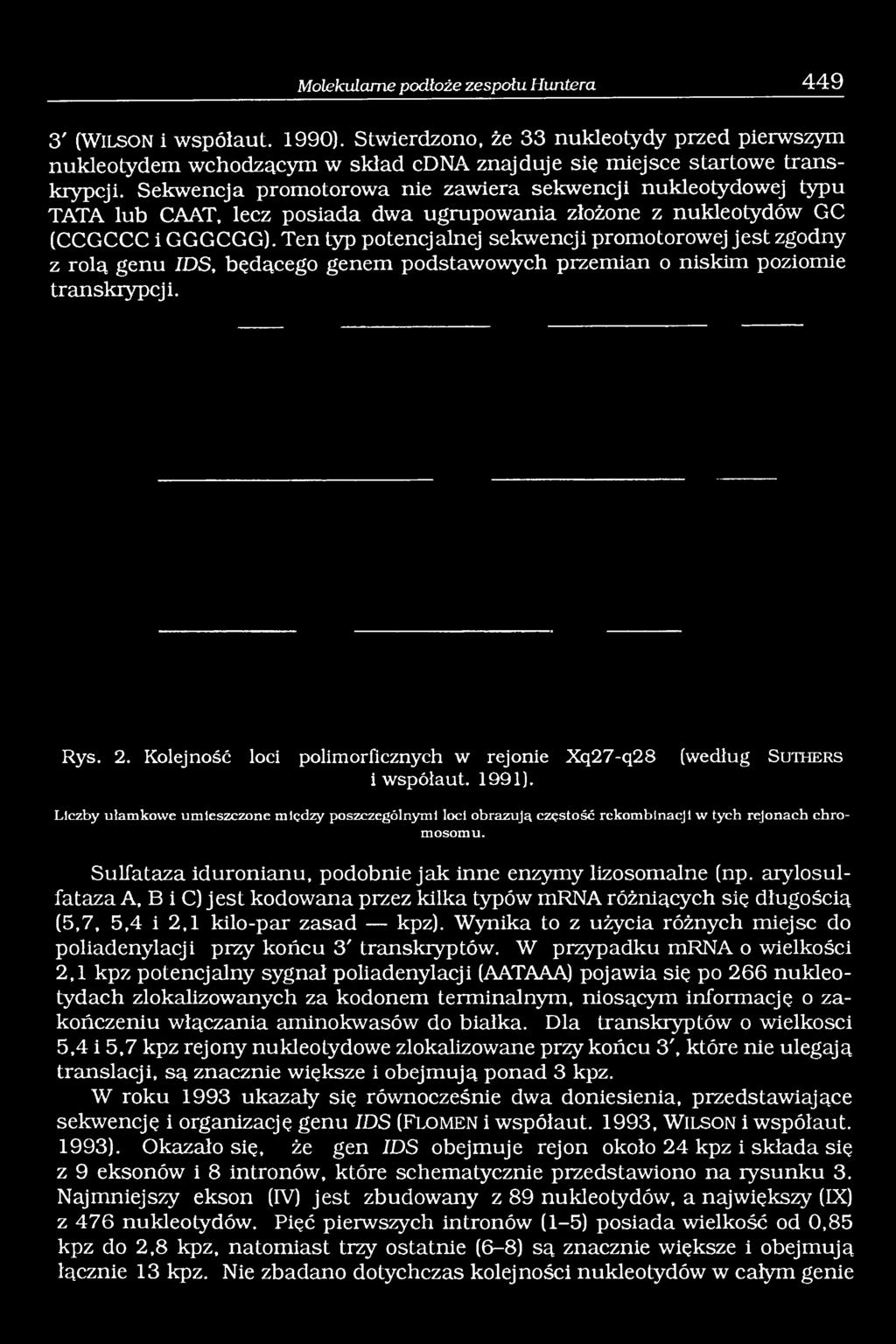Ten typ potencjalnej sekwencji promotorowej jest zgodny z rolą genu IDS, będącego genem podstawowych przemian o niskim poziomie transkrypcji. Rys. 2.