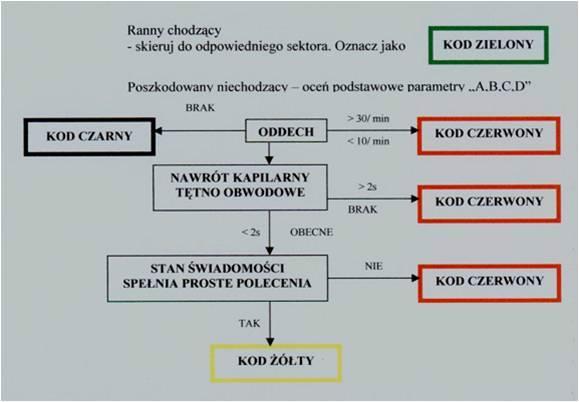 Rys. 3. Schemat segregacji medycznej realizowanej w ramach systemu START. Źródło: K. Nadolny, M. Kucap, P. Szwedziński, op. cit.