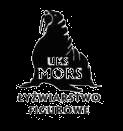 UCZNIOWSKI KLUB SPORTOWY Mors Dębica ul. Piłsudskiego 19 39200 Dębica tel.: 602643113 www.puchardebicy.pl mors.debica@wp.pl KOMUNIKAT ZAWODÓW o Puchar Dębicy Amatorów 2019 1.