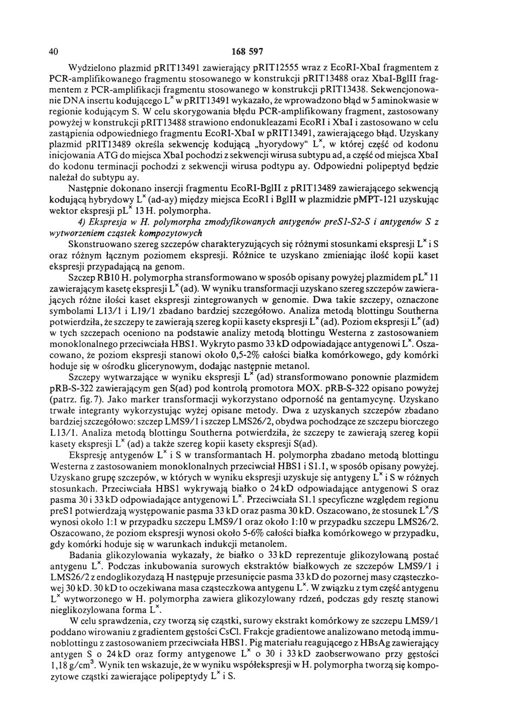 40 168 597 W ydzielono plazm id pr IT 13491 zawierający pr IT 12555 wraz z EcoRI-X bai fragmentem z PCR-am plifikowanego fragm entu stosowanego w konstrukcji prit13488 oraz XbaI-BglII fragm entem z