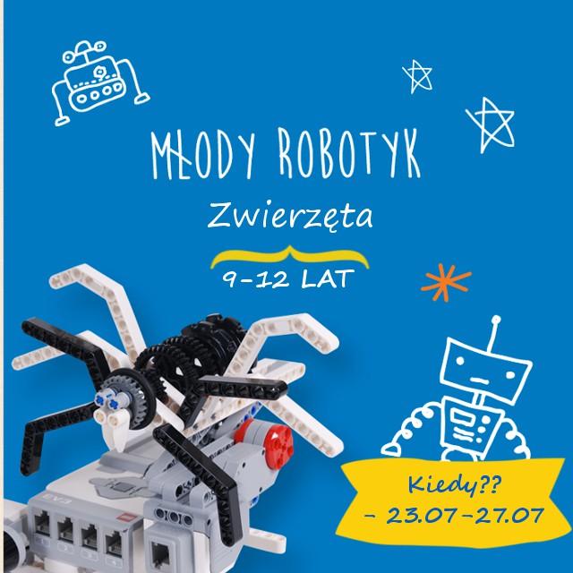 MŁODY ROBOTYK ZWIERZĘTA [9-12 lat] Wszystkim młodym pasjonatom Robotyki oferujemy półkolonie Lego MINDSTORMS na których projektujemy zaawansowane modele robotów z wykorzystaniem silników, czujników,