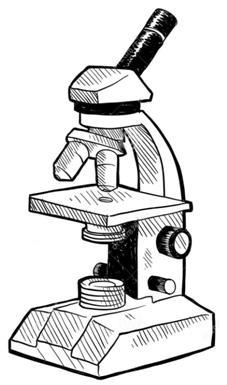 Zadanie 1. [2 pkt] W biologii podstawowym narzędziem badawczym jest mikroskop.