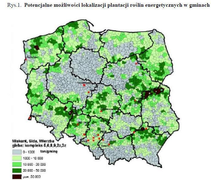 Z jednego hektara uprawy można pozyskać rocznie około 10-15 ton suchej masy. Przyjmuje się, że średnio jedna karpa wieloletnia produkuje 1kg suchej masy rocznie.