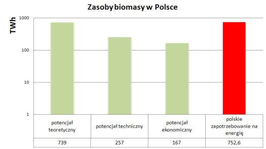 W Polsce z importu pochodzi 85% biomasy, np. z Rosji.