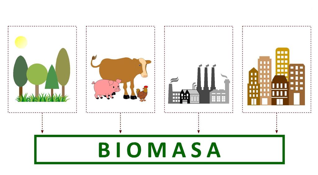 BIOMASA Ogół materii organicznej, którą można wykorzystać pod względem energetycznym.