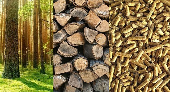 Biomasa, występuje w trzech stanach skupienia; stałym, ciekłym i gazowym i pozwala na produkcję BIOPALIW. STAŁY- wyróżniamy np.