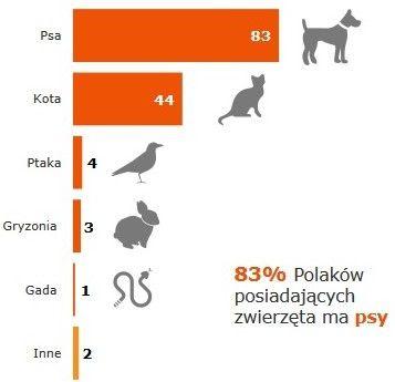 5. Proszę uzupełnić zdania używając właściwych form. A. Zdecydowana większość Polaków (mieć/w/ dom/ pies)... B.