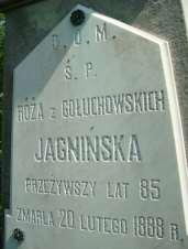 202 Monografia rzymskokatolickiej parafii św. Trójcy w Komarowie Nagrobek 21 Rok 2013, 9 czerwca. Nagrobek Róży Jagnińskiej na cmentarzu parafialnym w Dzierążni (foto Henryk Kulik). Herbu Leliwa.