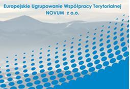 Główny obszar działalności polega na realizacji programów i projektów z zakresu: transportu i infrastruktury, turystyki, kultury, ochrony zdrowia, edukacji, zarządzania ryzykiem, ochrony