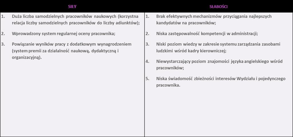 3 Analiza SWOT Analiza