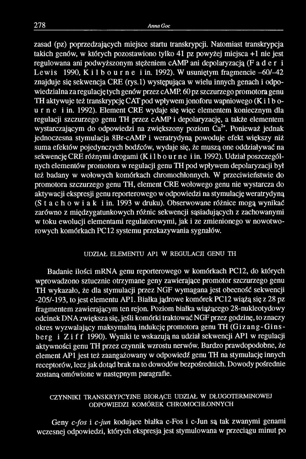 n e i in. 1992). W usuniętym fragmencie -60/-42 znajduje się sekwencja CRE (rys.l) występująca w wielu innych genach i odpowiedzialna za regulację tych genów przez camp.