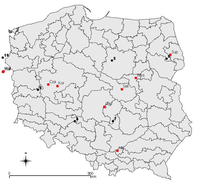 + Spała -