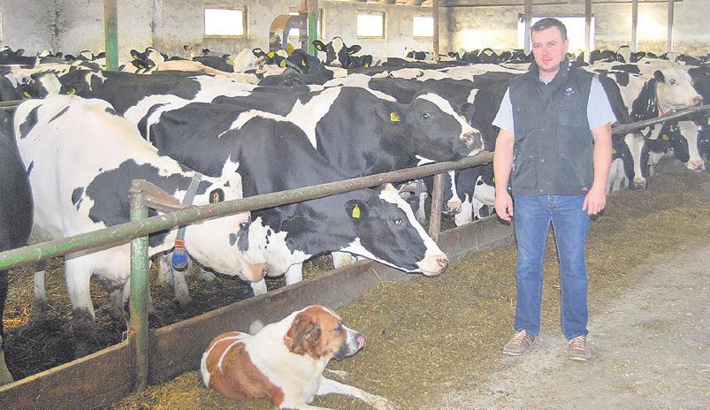 Od kilku lat prowadzę inseminację we własnym gospodarstwie, a współpracę z WCHiRZ rozpocząłem rok temu.