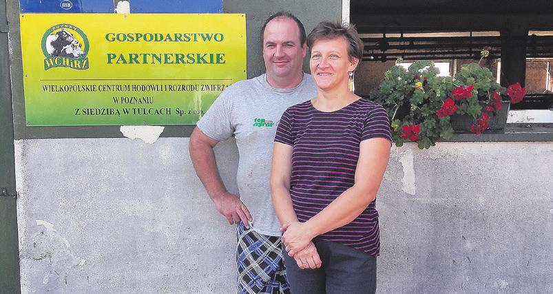 12 HODOWCY O NAS Dariusz Ptak Bestwin, woj. wielkopolskie Liczba krów: 45 szt. Średnia wydajność: 11 000 tys.
