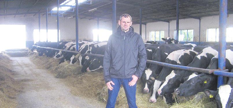 Cieliczki po Tarzanie charakteryzują się harmonijną i szlachetną budową, rozwijają się znakomicie i liczymy, że w przyszłości będą produkowały dużo mleka.