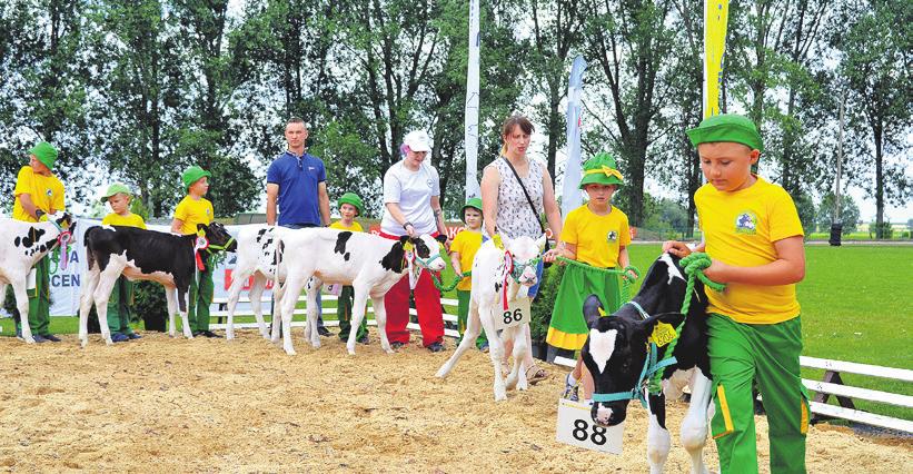 wielkopolskie Jadnak od blisko dwudziestu kilku lat Pudliszki rozpoznawalne są również dzięki znanej w makroregionie leszczyńskim Regionalnej Wystawie Zwierząt Hodowlanych, odbywającej się na