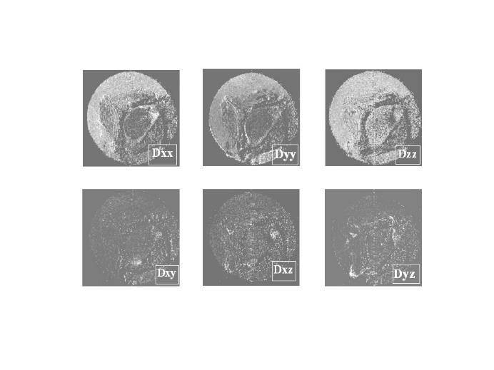Rys. 9A Składowe symetrycznego tensora dyfuzji w układzie laboratoryjnym (związanym z magnesem). Rys.