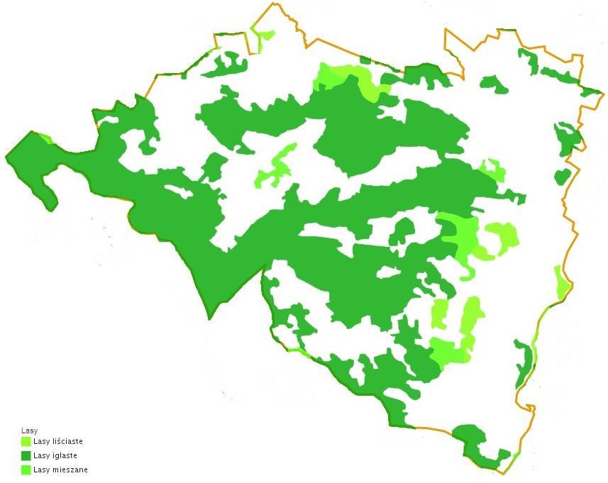 Tabela 46. Struktura lasów Gminy Olszewo-Borki w roku 2016.