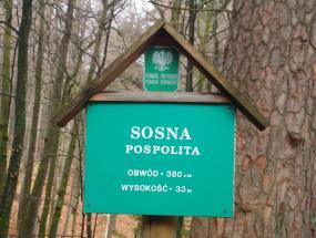 głazy narzutowe objęte zostały ochroną prawną, co potwierdza