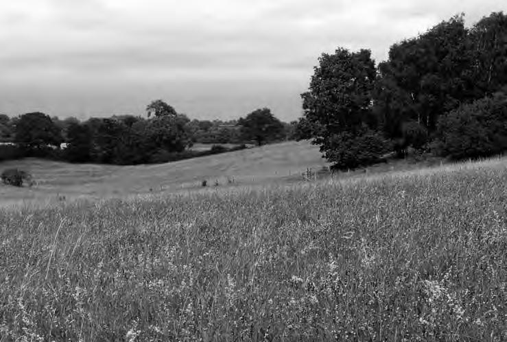 Robert s Field, Lincolnshire, 1997 r. Fot.