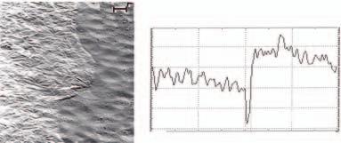 deviation of the profile from the average line, R max the maximum roughness height, R z the roughness height taken from 1 profile points; d) ipp (SEM) 16 kev/3 1 16 He + cm -2 [25, 33] owan any