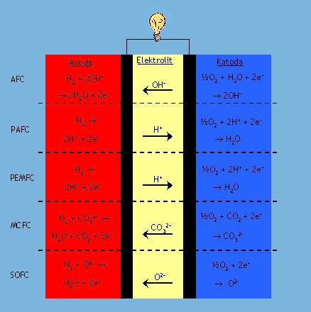 Rodzaje ogniw paliwowych Istnieje szereg rodzajów ogniw paliwowych: * ogniwo z membraną do wymiany protonów (ang. Proton-exchange membrane fuel cell - PEMFC), * odwracalne ogniwo paliwowe (ang.