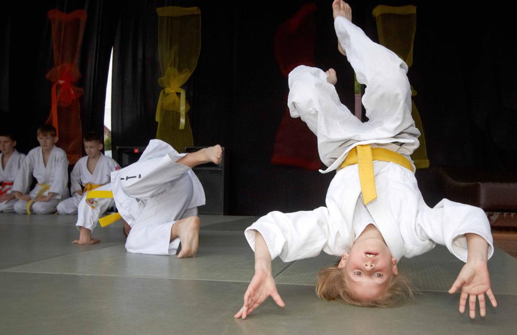 Pokazy judo podczas Niedzieli z kogutkiem, 2011. fot.